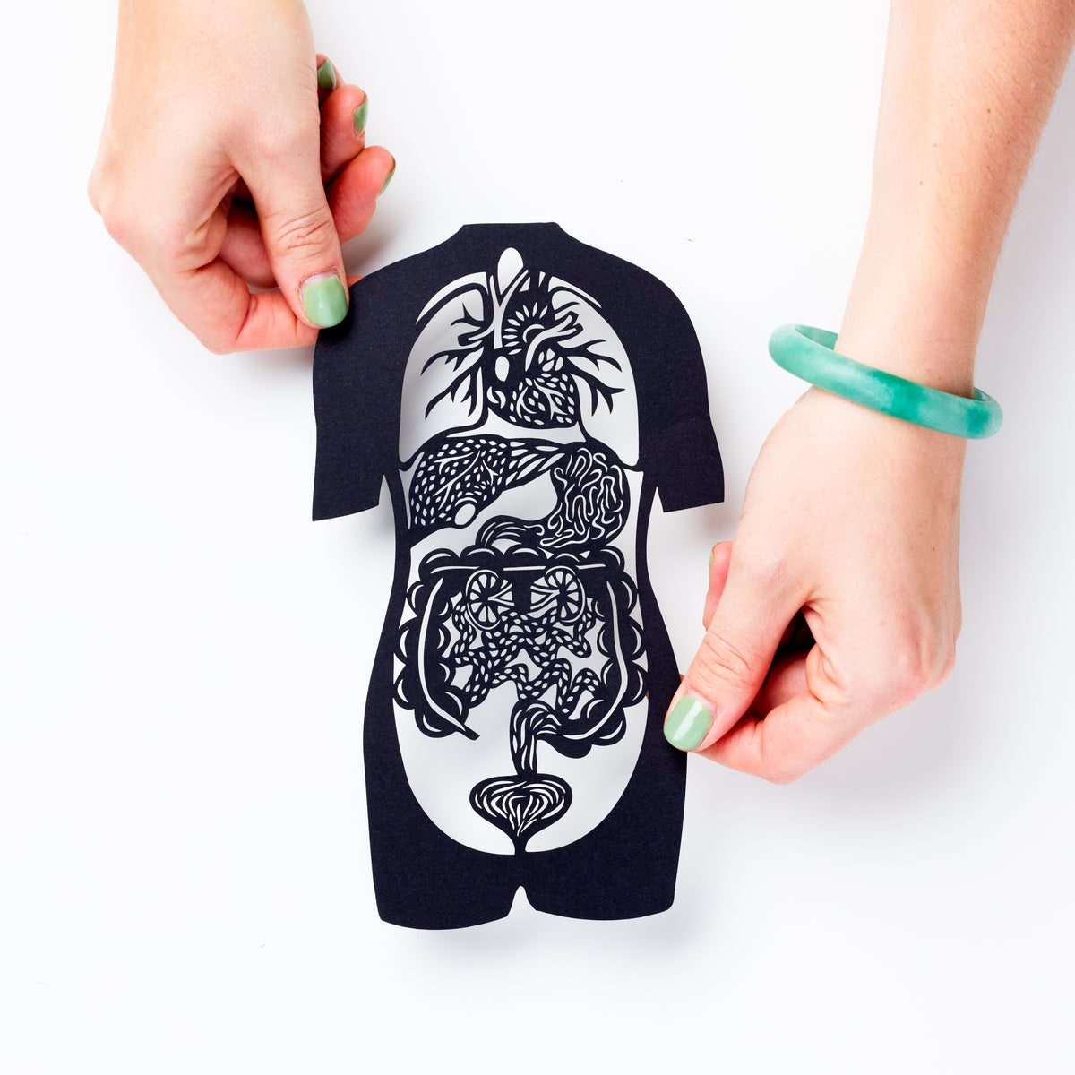 Anatomical Internal Organs Family Medicine Papercutting Artwork | Light ...