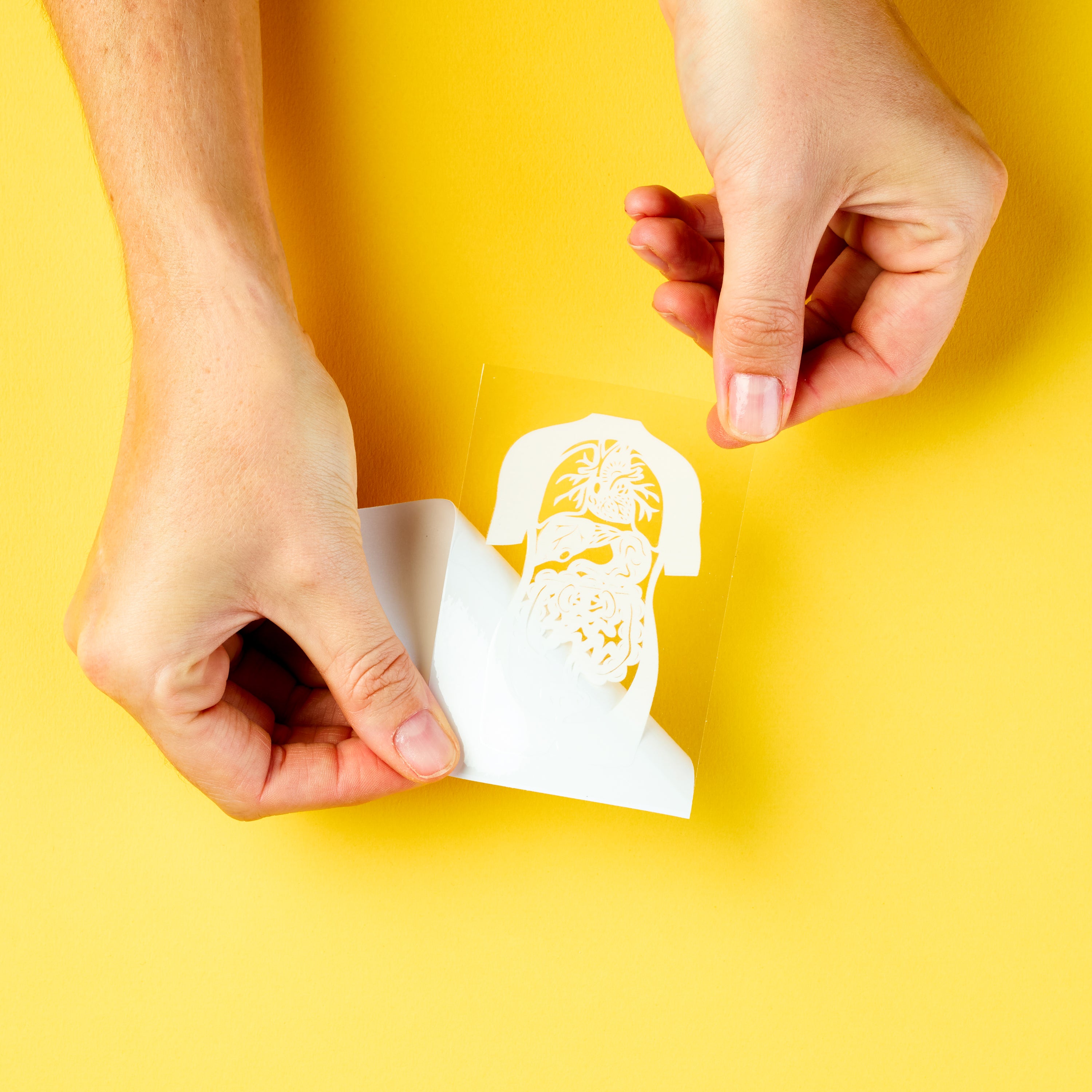 Human Anatomy sticker