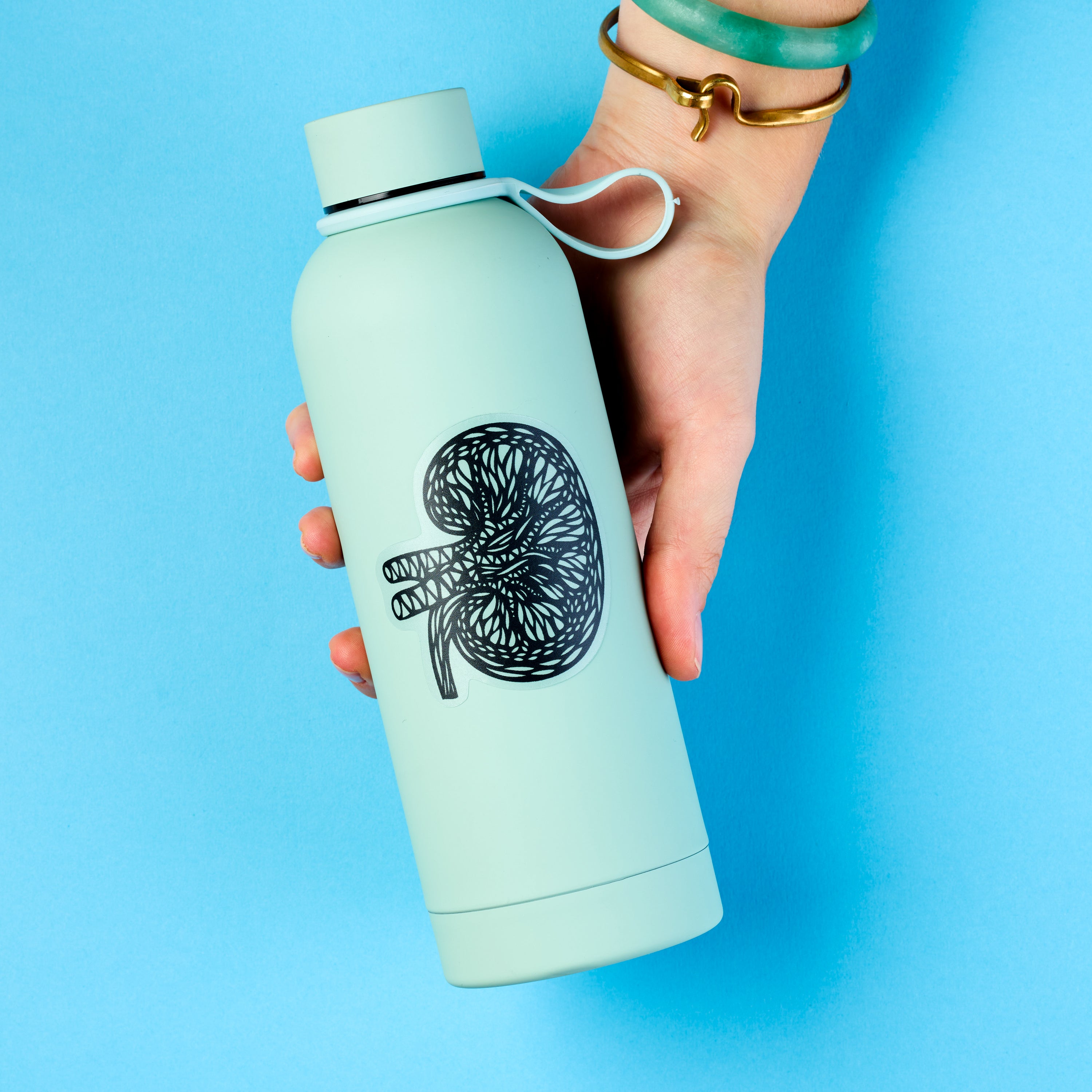 Kidney Anatomy Vinyl Sticker