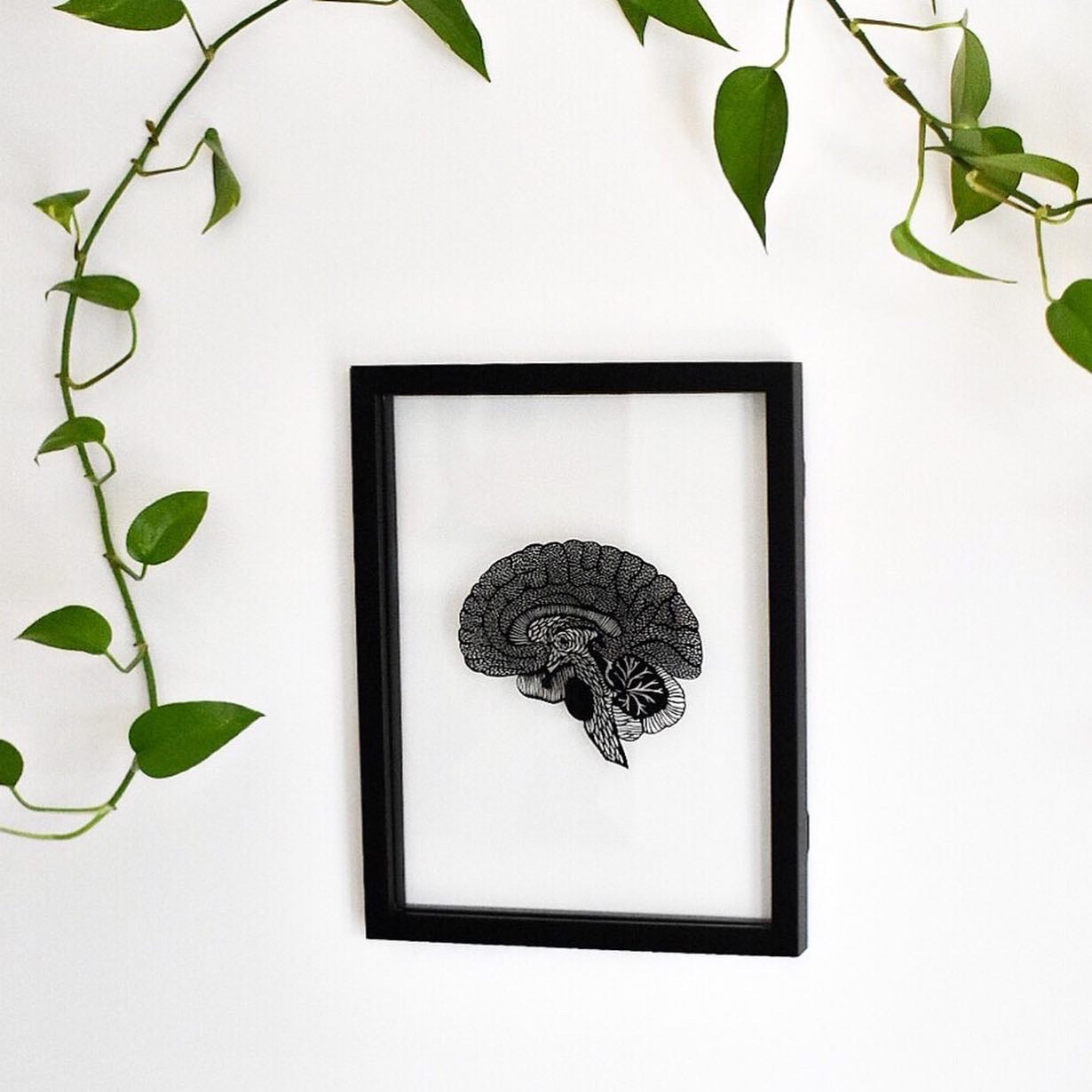 Anatomical Brain Papercutting Artwork