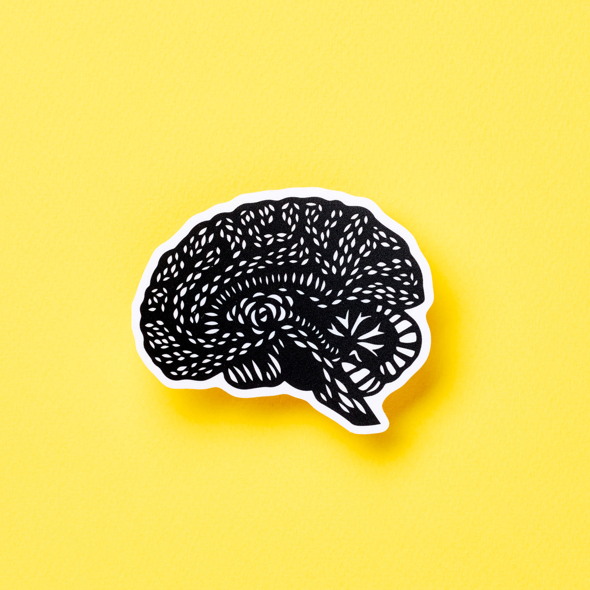Brain Anatomy vinyl sticker | Light + Paper