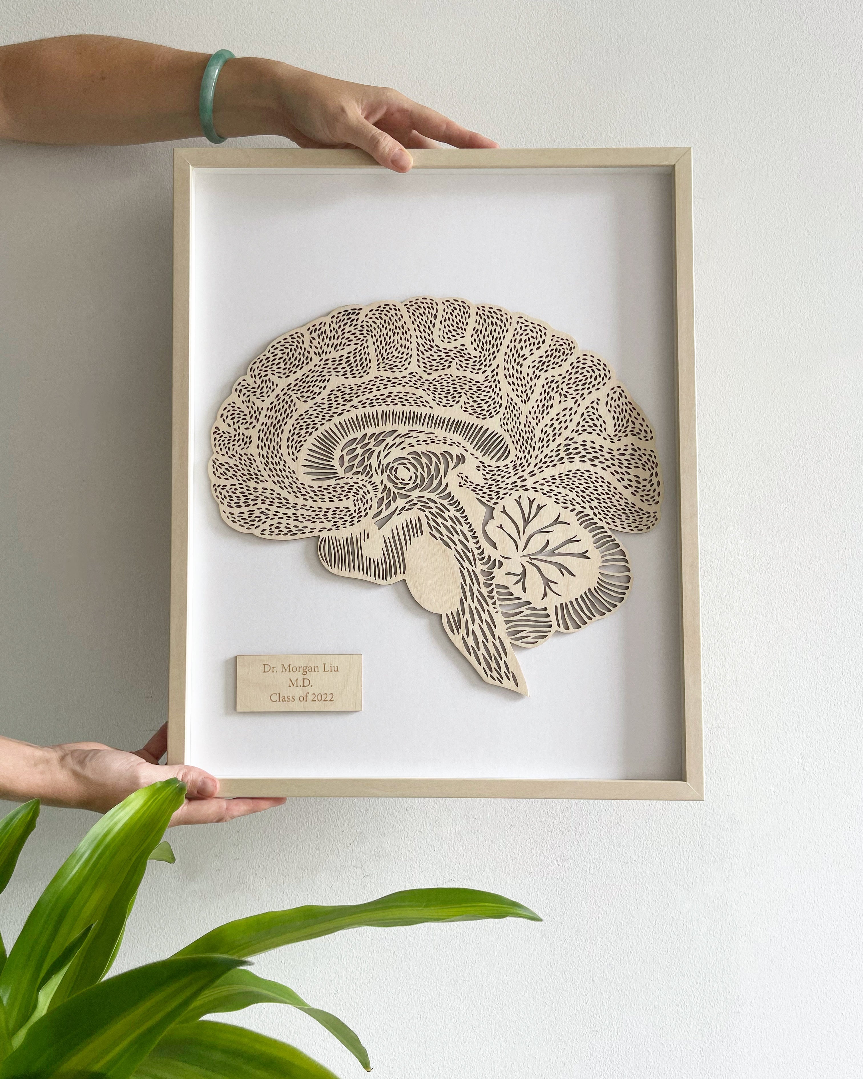 Anatomical Brain Wooden Artwork