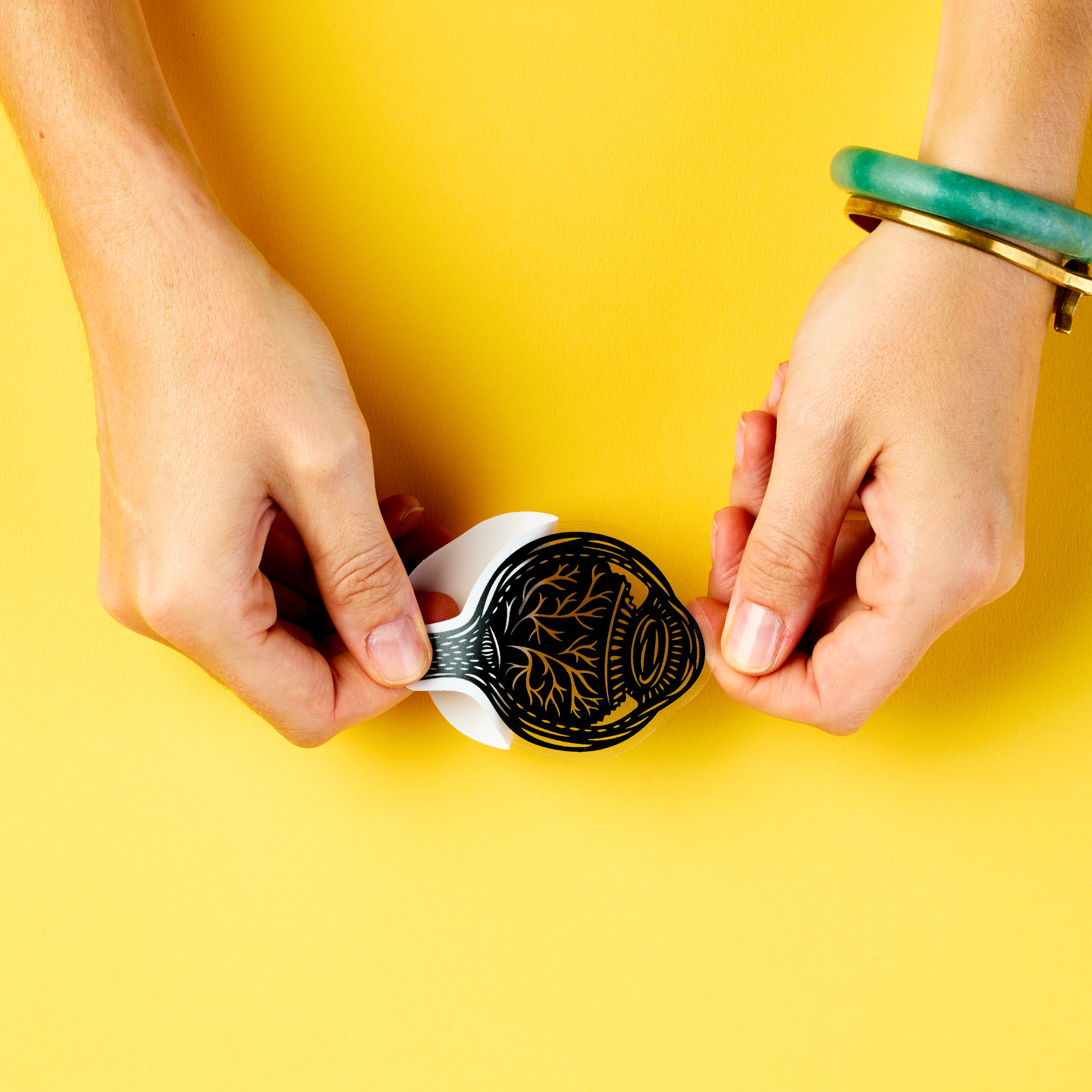 Eyeball Anatomy sticker