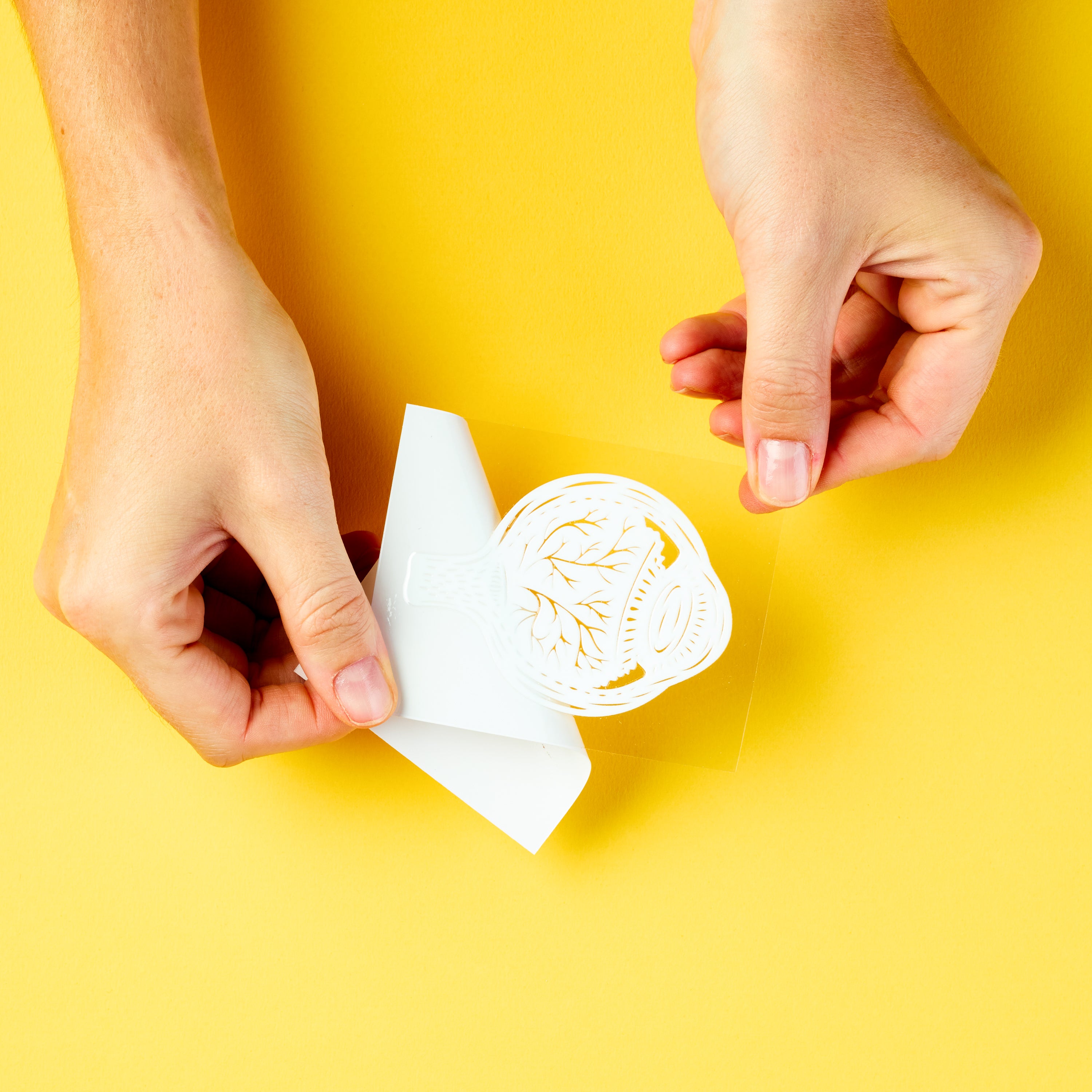 Eyeball Anatomy sticker