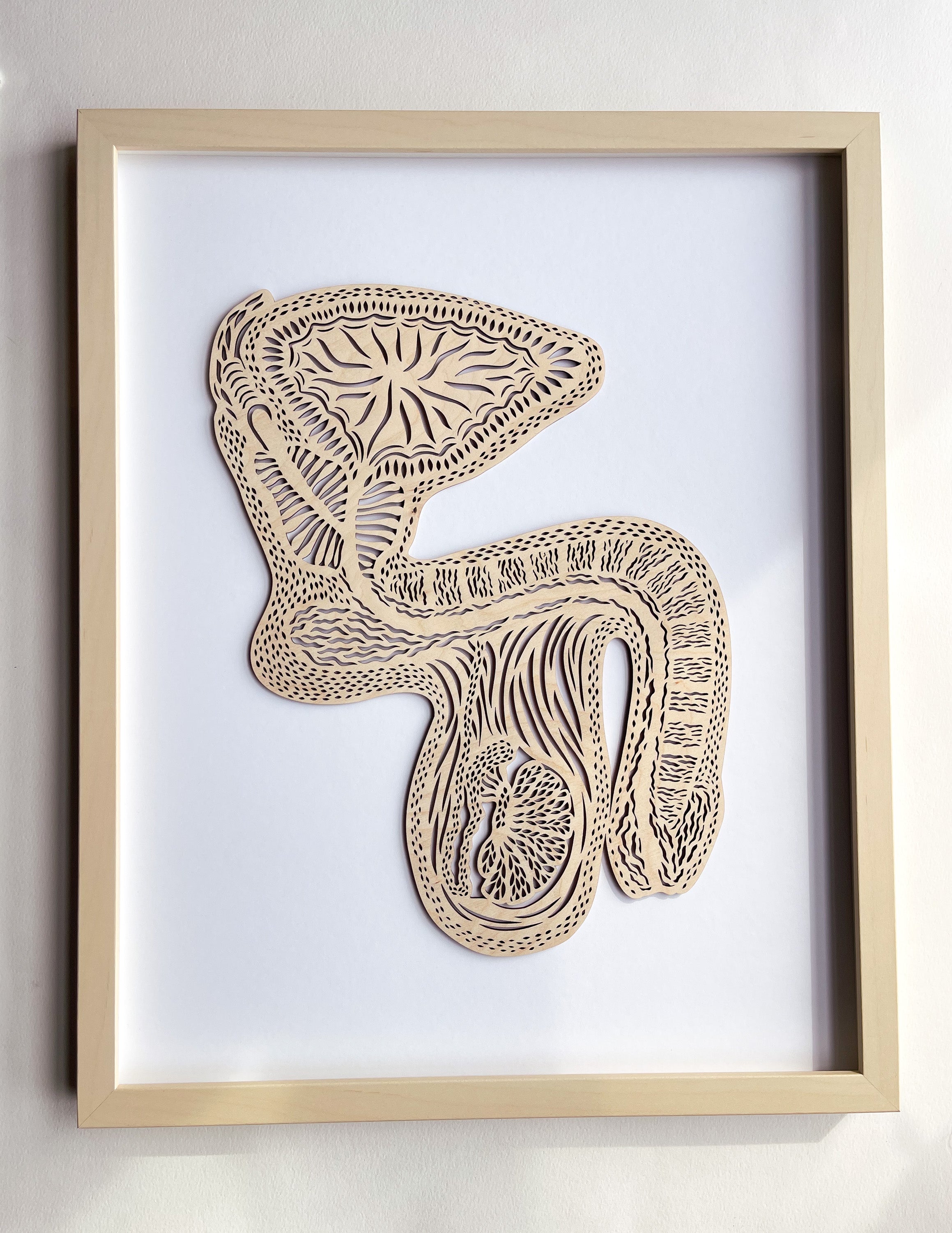 Anatomical Penis/Testicles Wooden Artwork