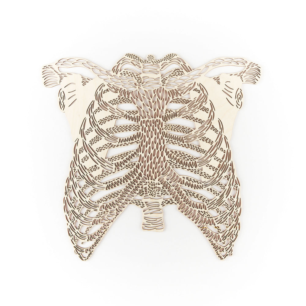 Anatomical Ribs Wooden Artwork | Light + Paper