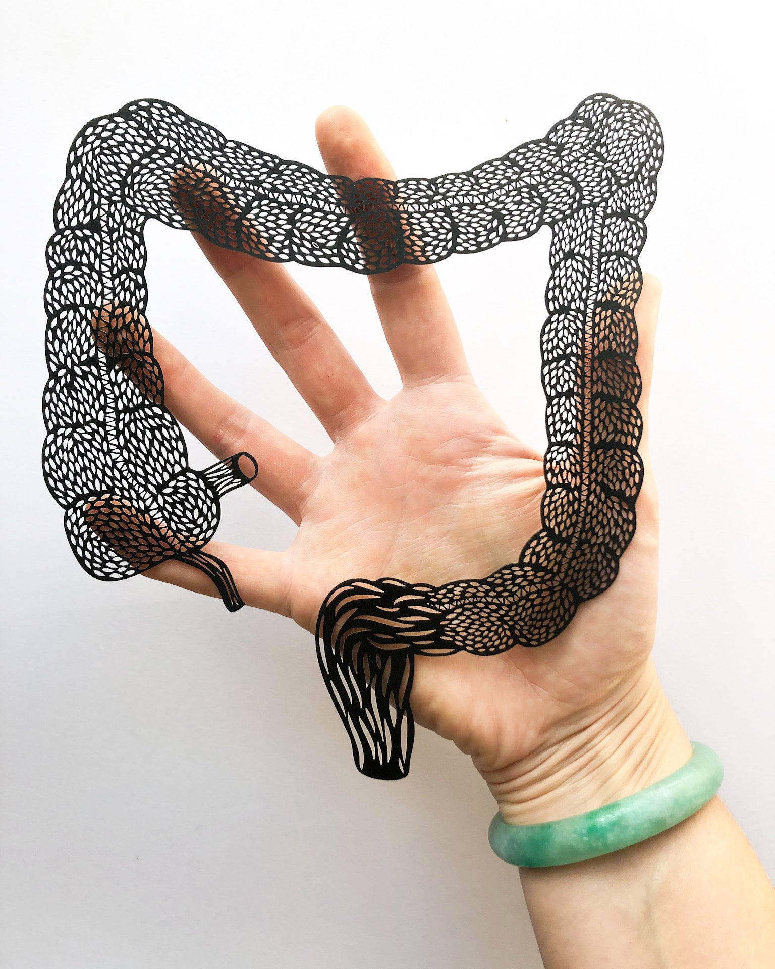 Anatomical Large Intestine Papercutting Artwork