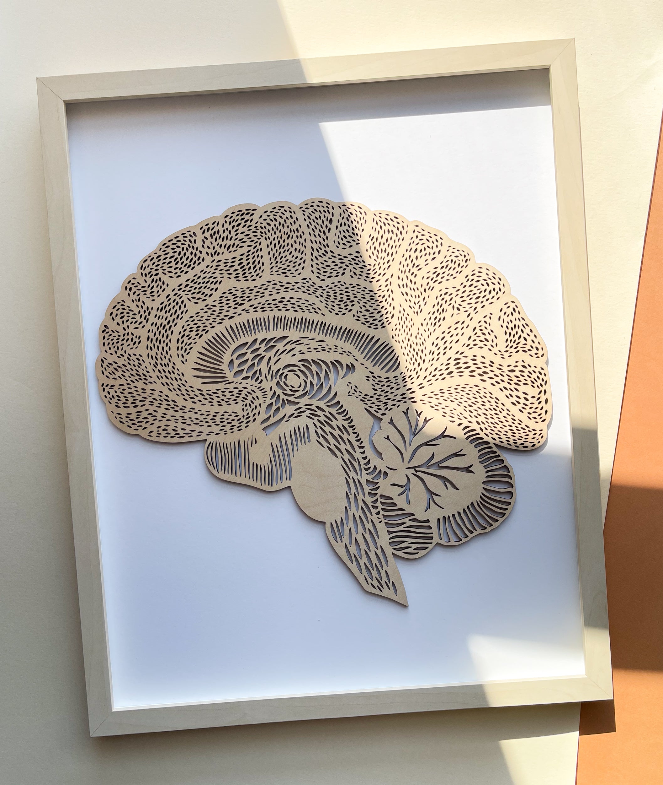 Anatomical Brain Wooden Artwork