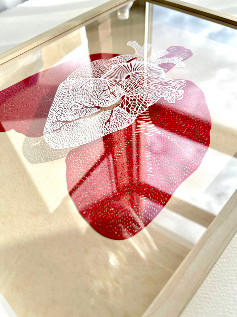 Framed Heart and Lungs Papercutting