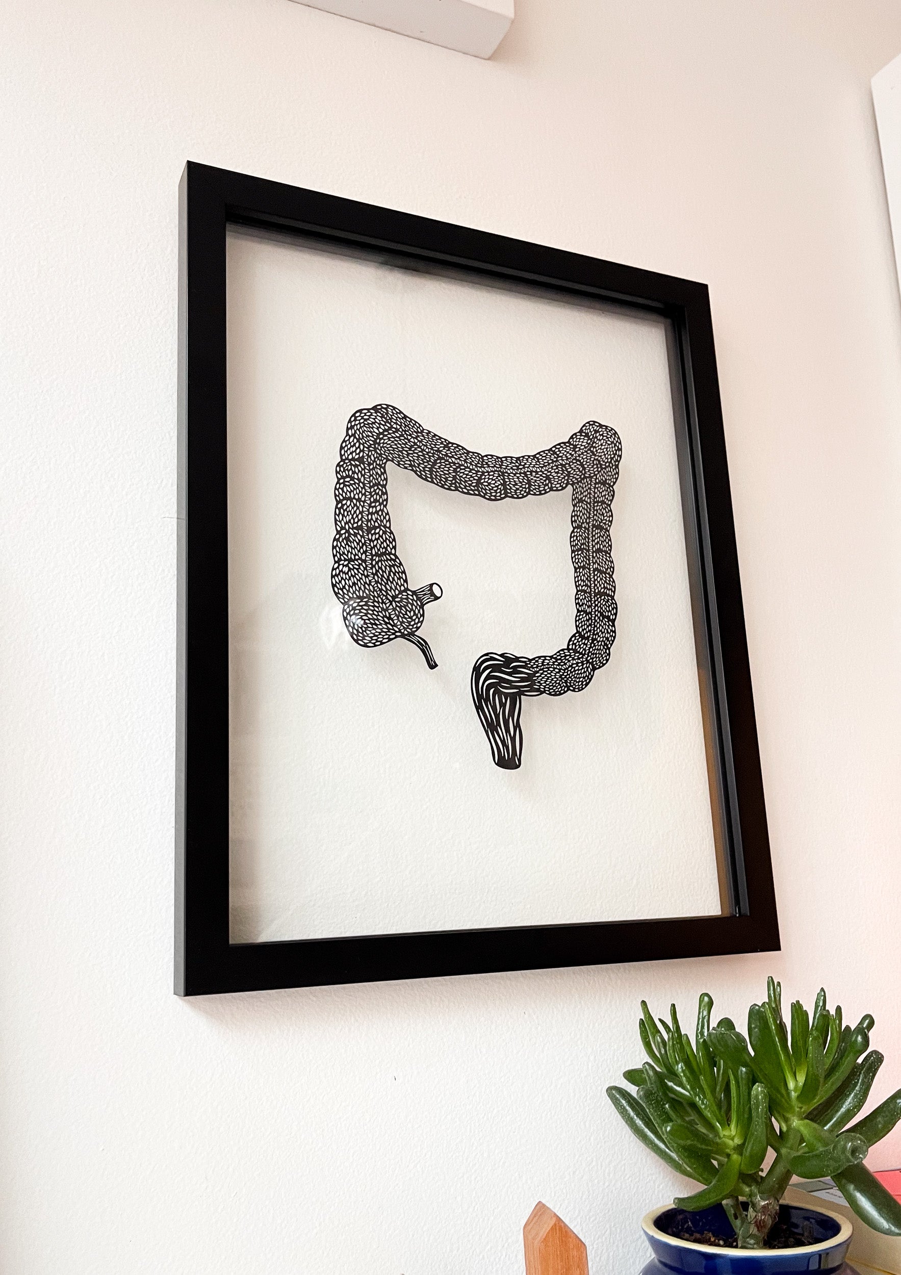 Anatomical Large Intestine Papercutting Artwork