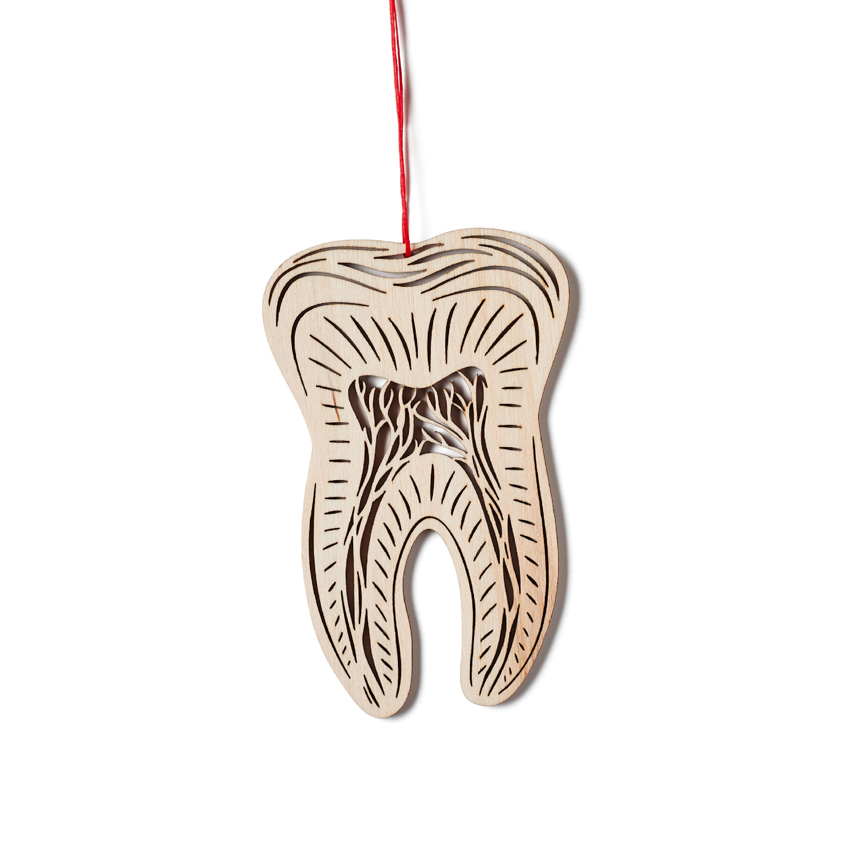 Tooth Anatomy Ornament