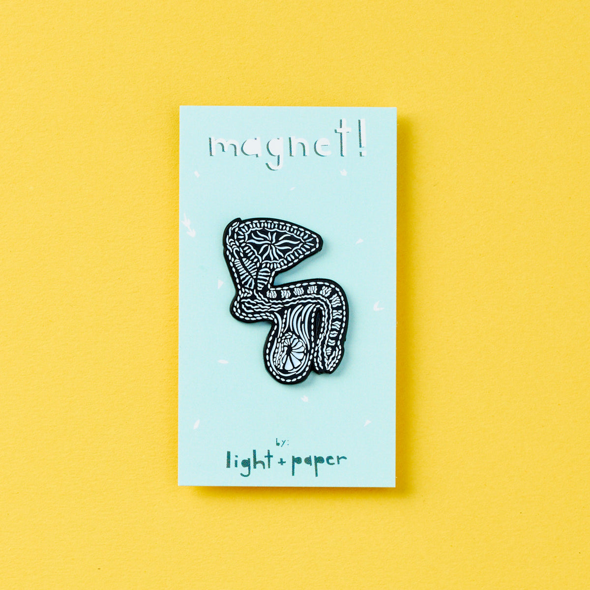 Penis Anatomy Magnet