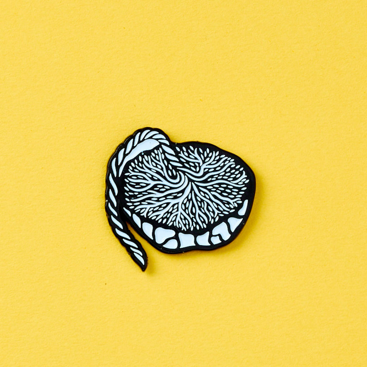 Placenta Anatomy Magnet