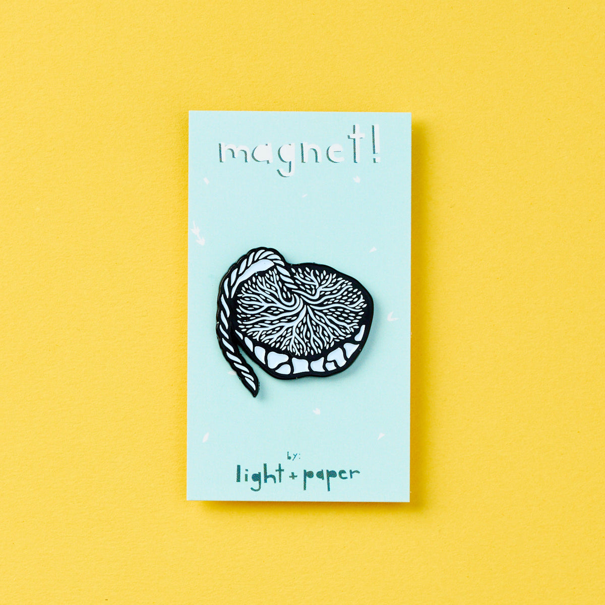 Placenta Anatomy Magnet