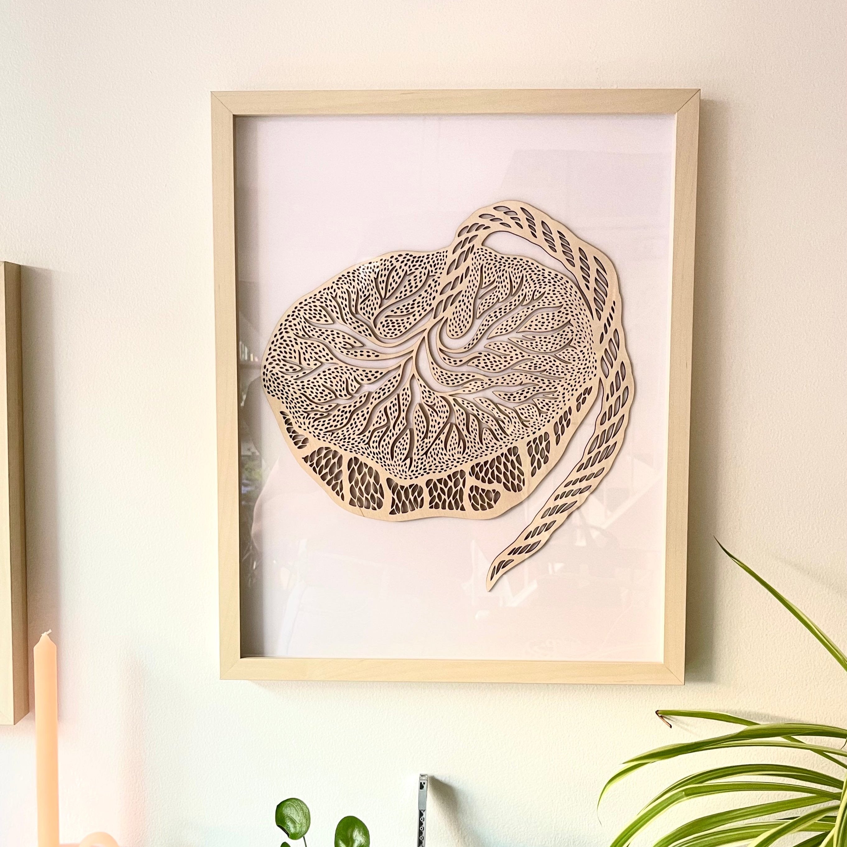 Anatomical Placenta Wooden Artwork