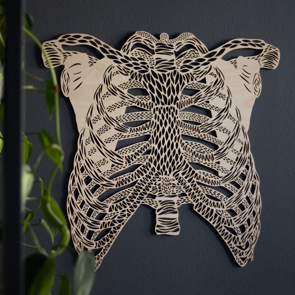 Paper Human Ribs Anatomical Ribs Wooden Artwork | Light + Paper