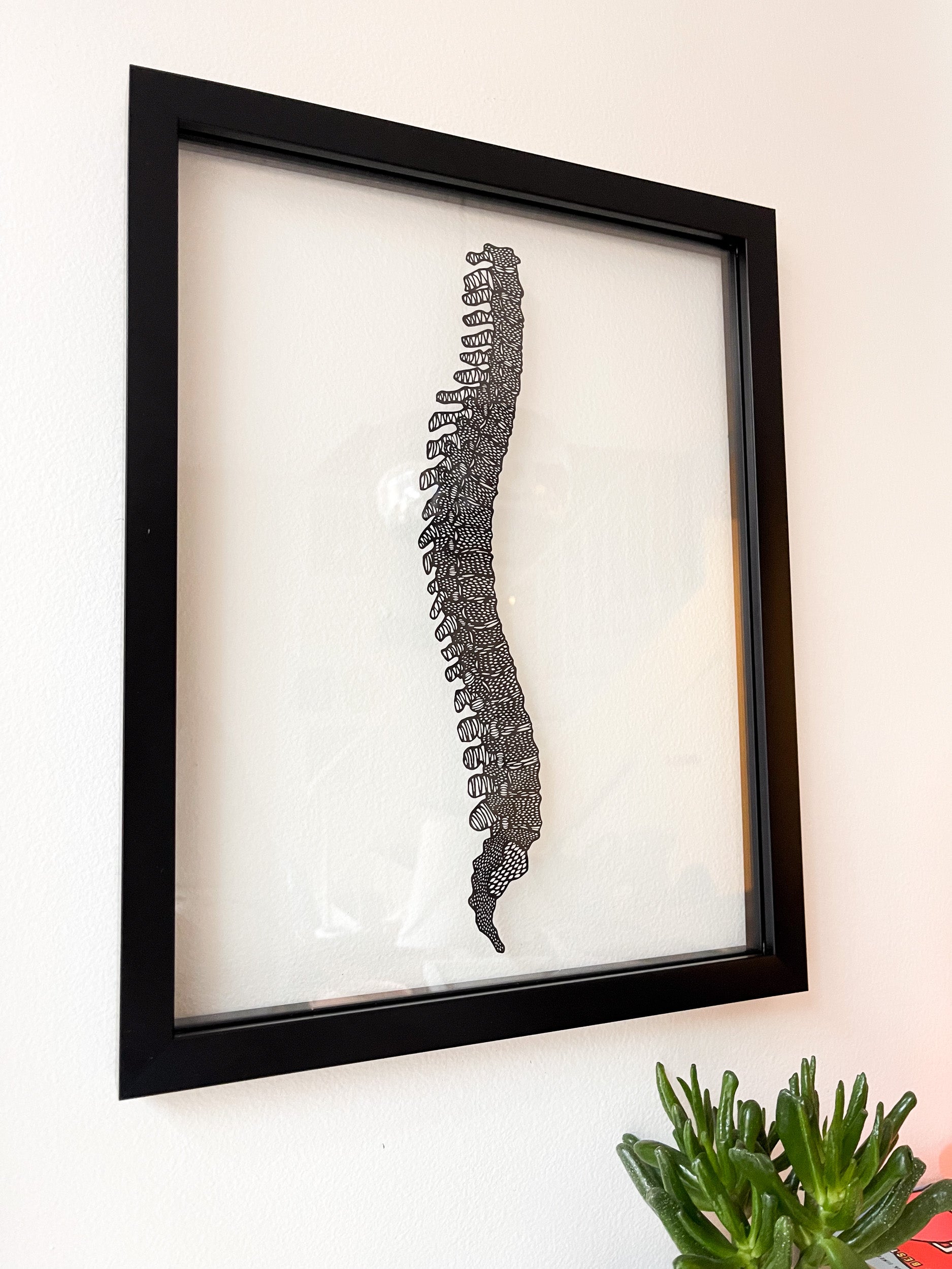 Anatomical Spine Papercutting Artwork