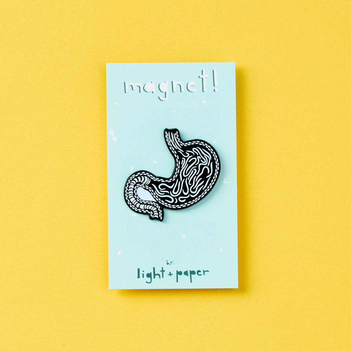 Stomach Anatomy Magnet