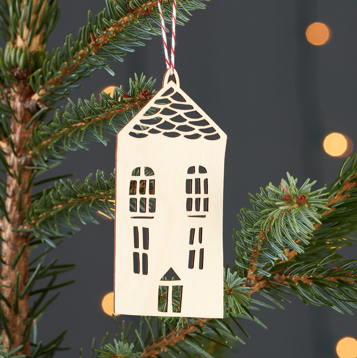 House Ornament