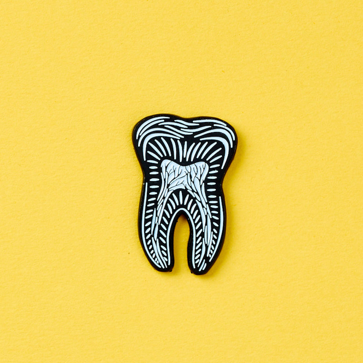 Tooth Anatomy Magnet
