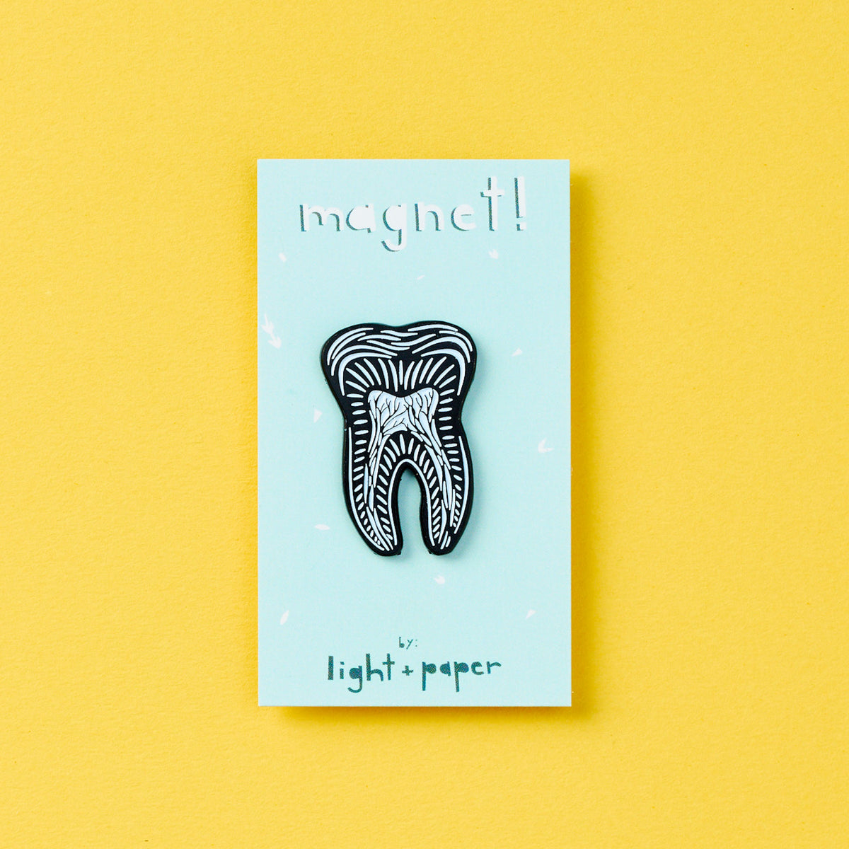 Tooth Anatomy Magnet