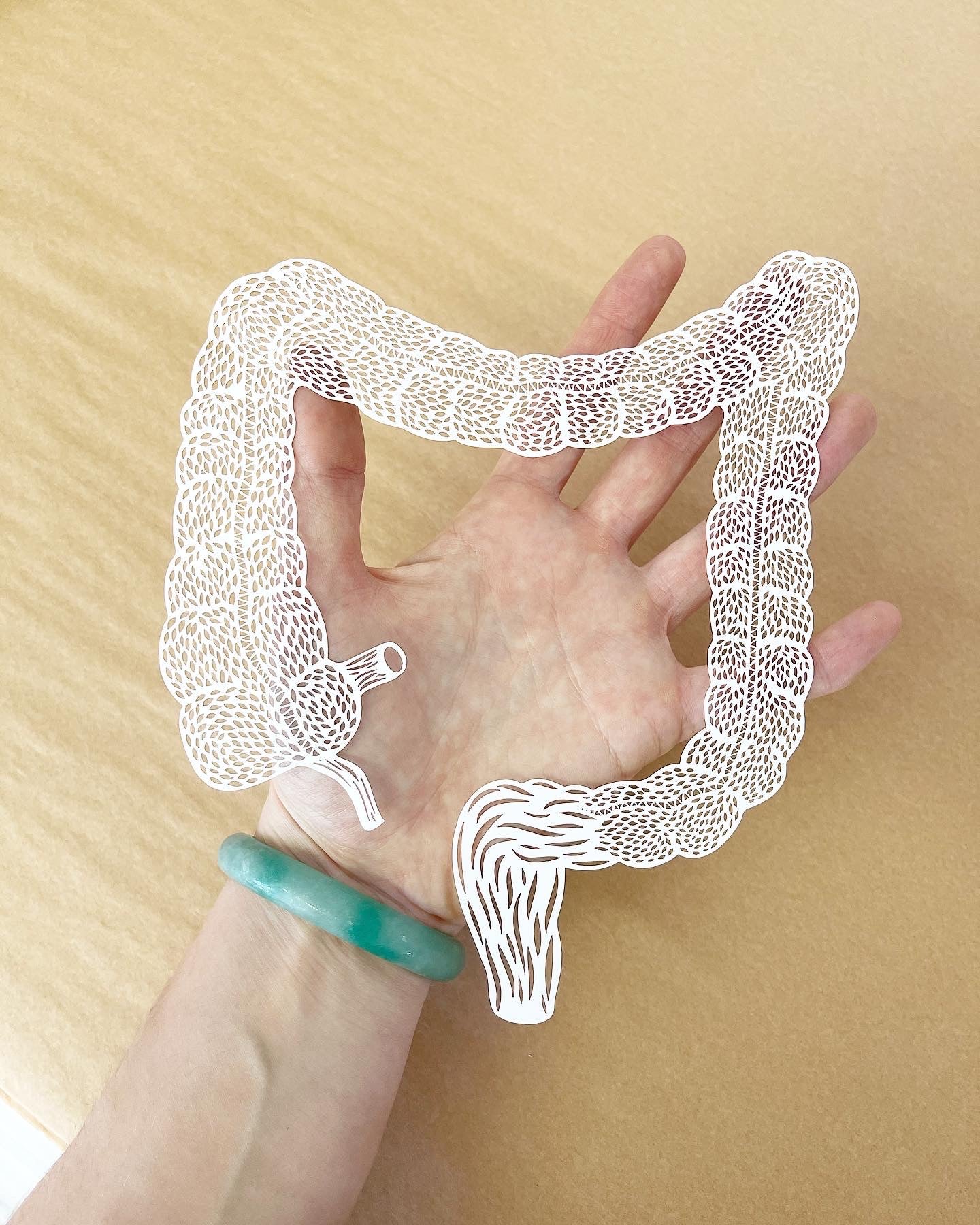 Anatomical Large Intestine Papercutting Artwork