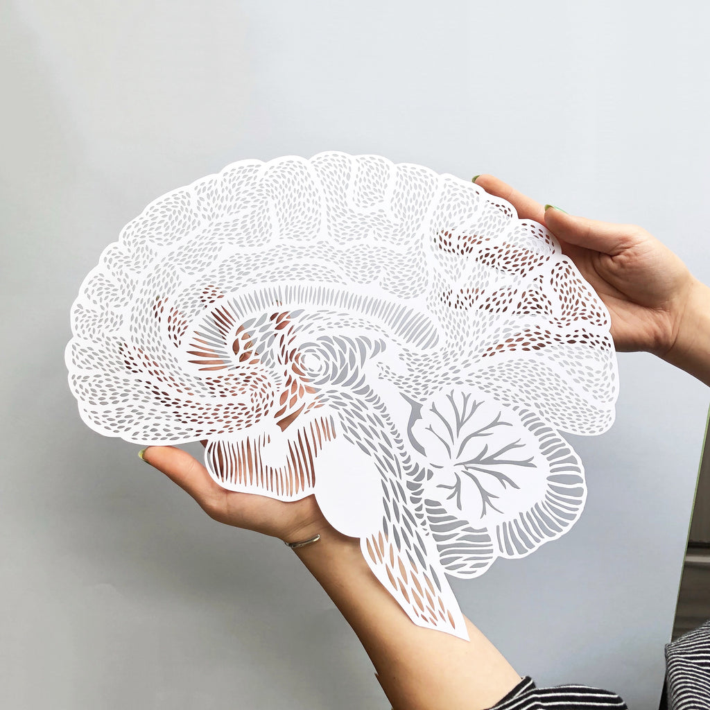 Anatomical Brain Papercutting Artwork | Light + Paper