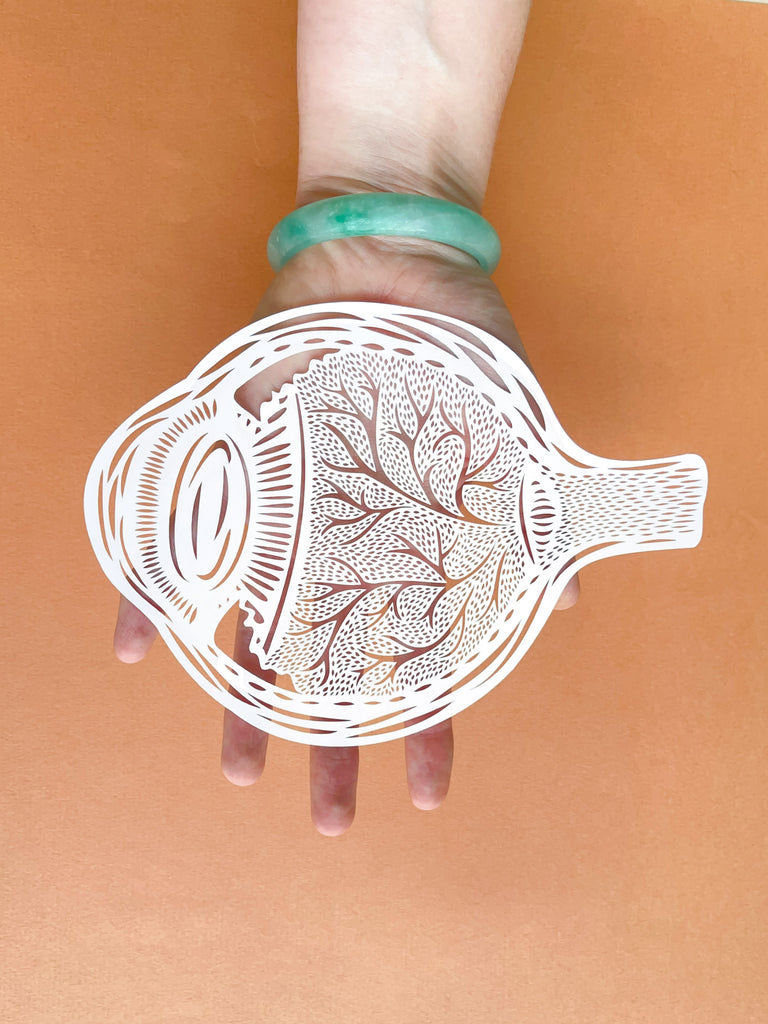 Anatomical Eyeball Papercutting Artwork | Light + Paper