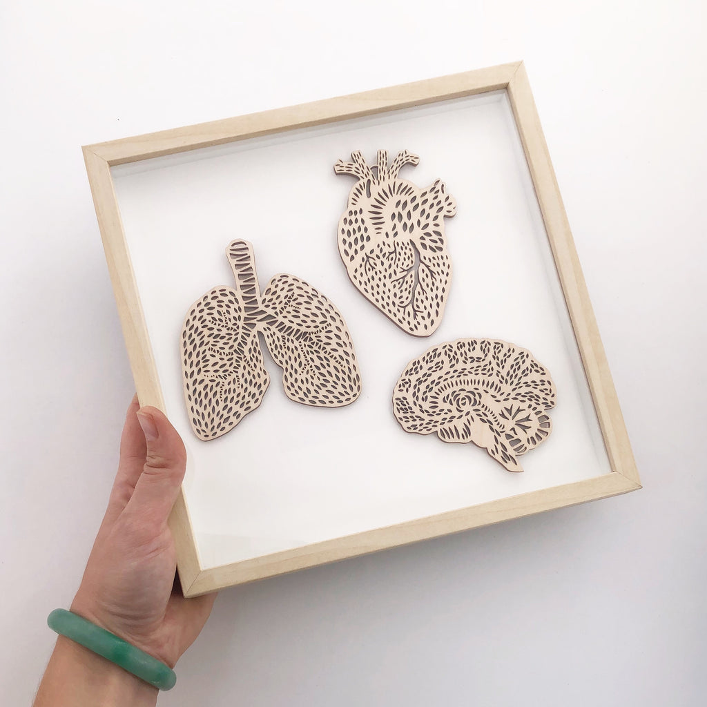 Heart Anatomy Ornament