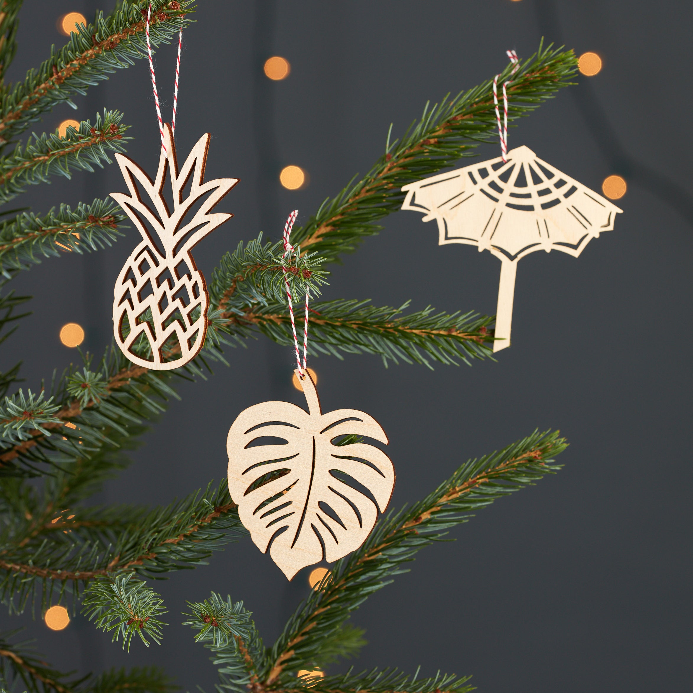 Tropical Ornaments (set of 3)