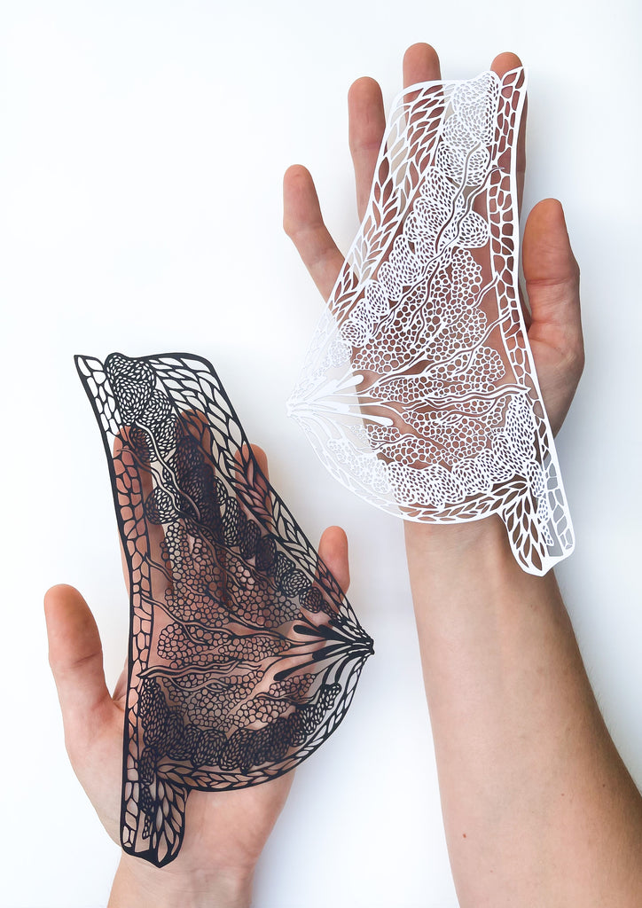 Anatomical Breast Papercutting Artwork