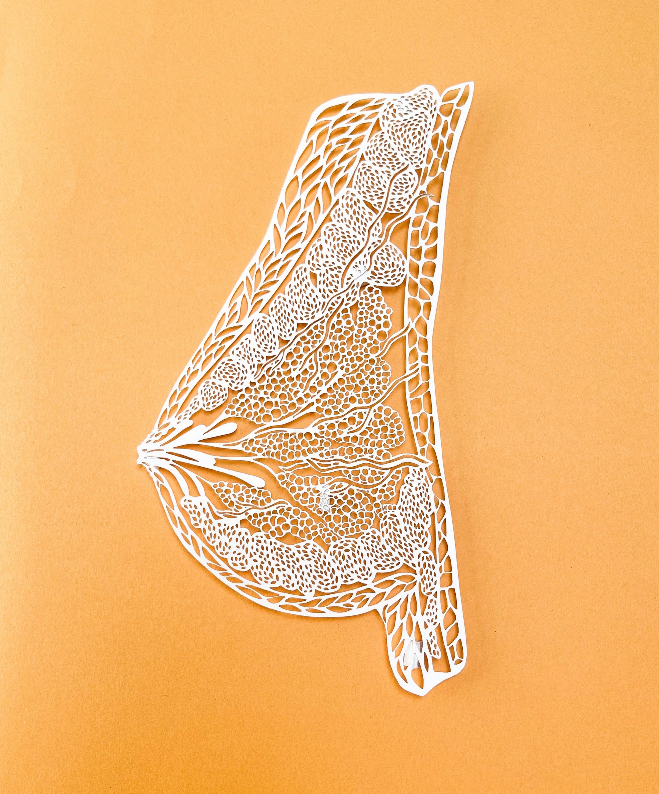 Anatomical Breast Papercutting Artwork