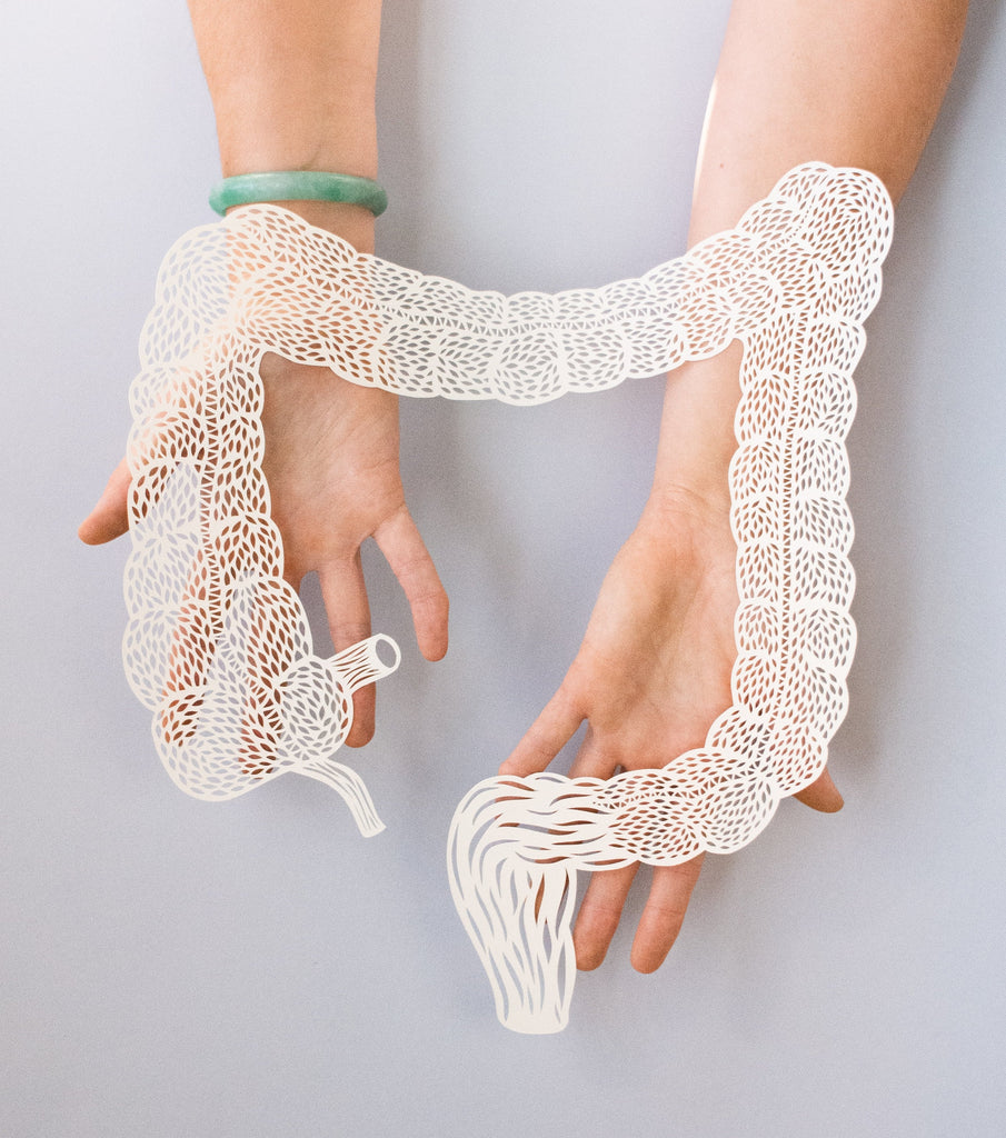 Anatomical Large Intestine Papercutting Artwork