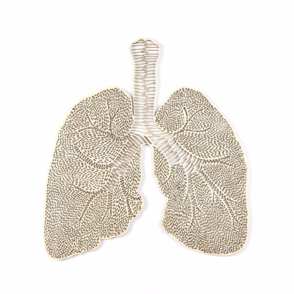 Lasercut Birch Wood Lungs Artwork, by Light + Paper, Made in Toronto