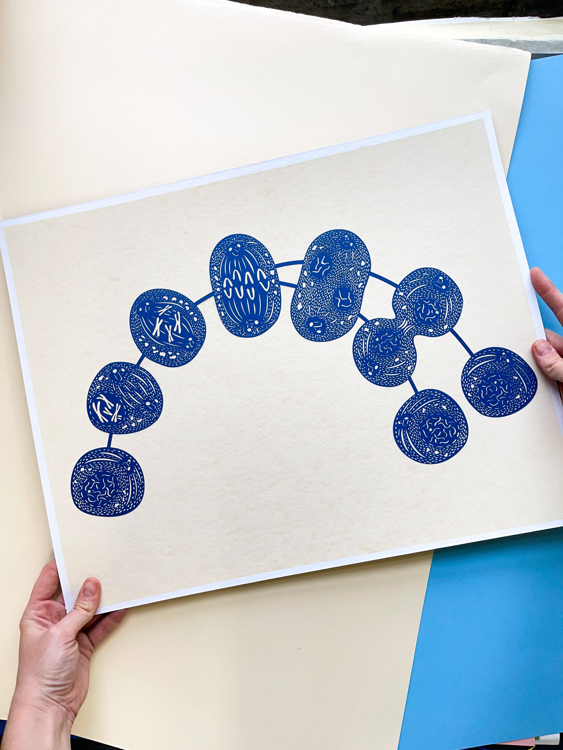 Mitosis Arch Papercutting