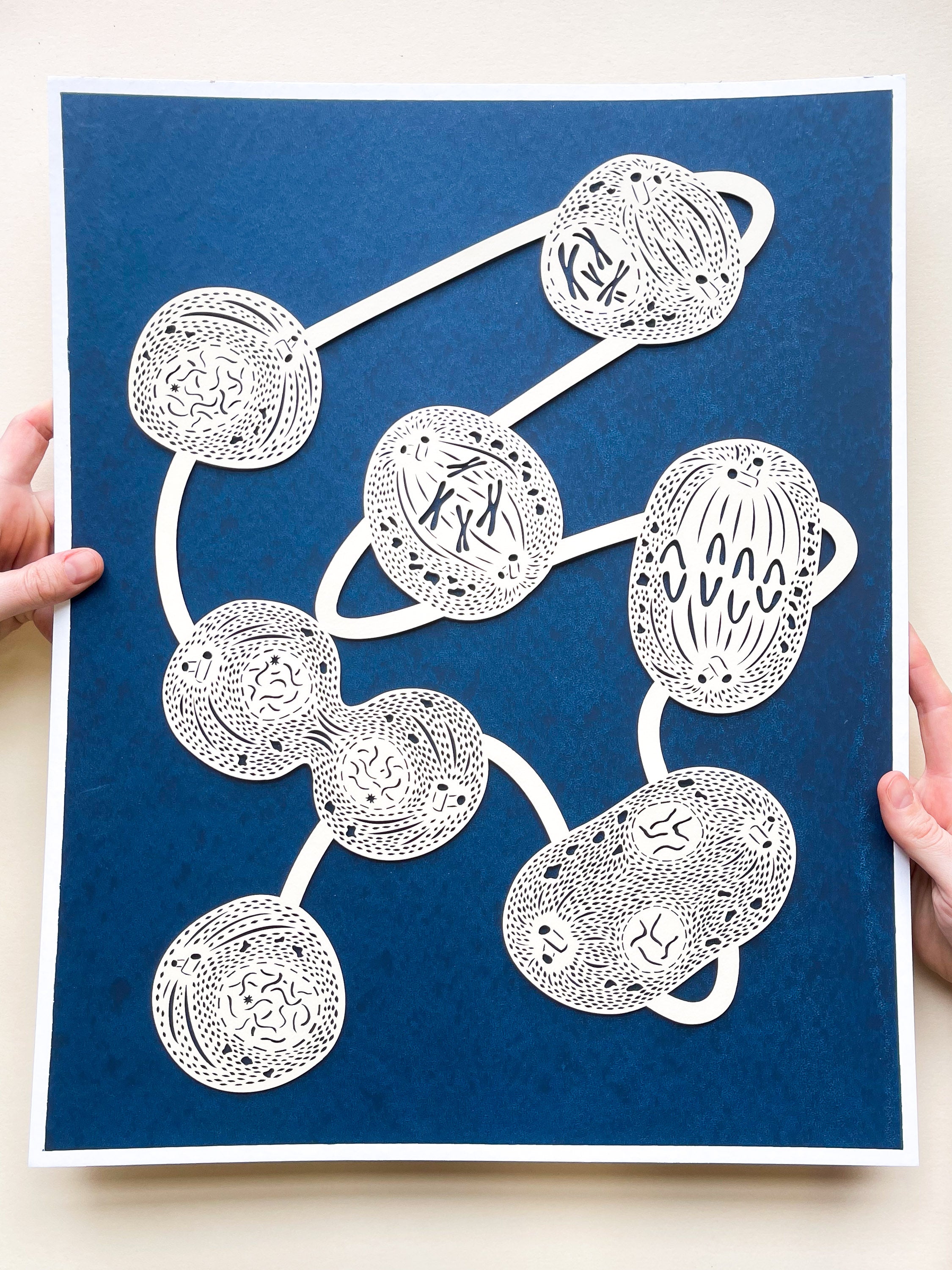 Mitosis Abstract Papercutting