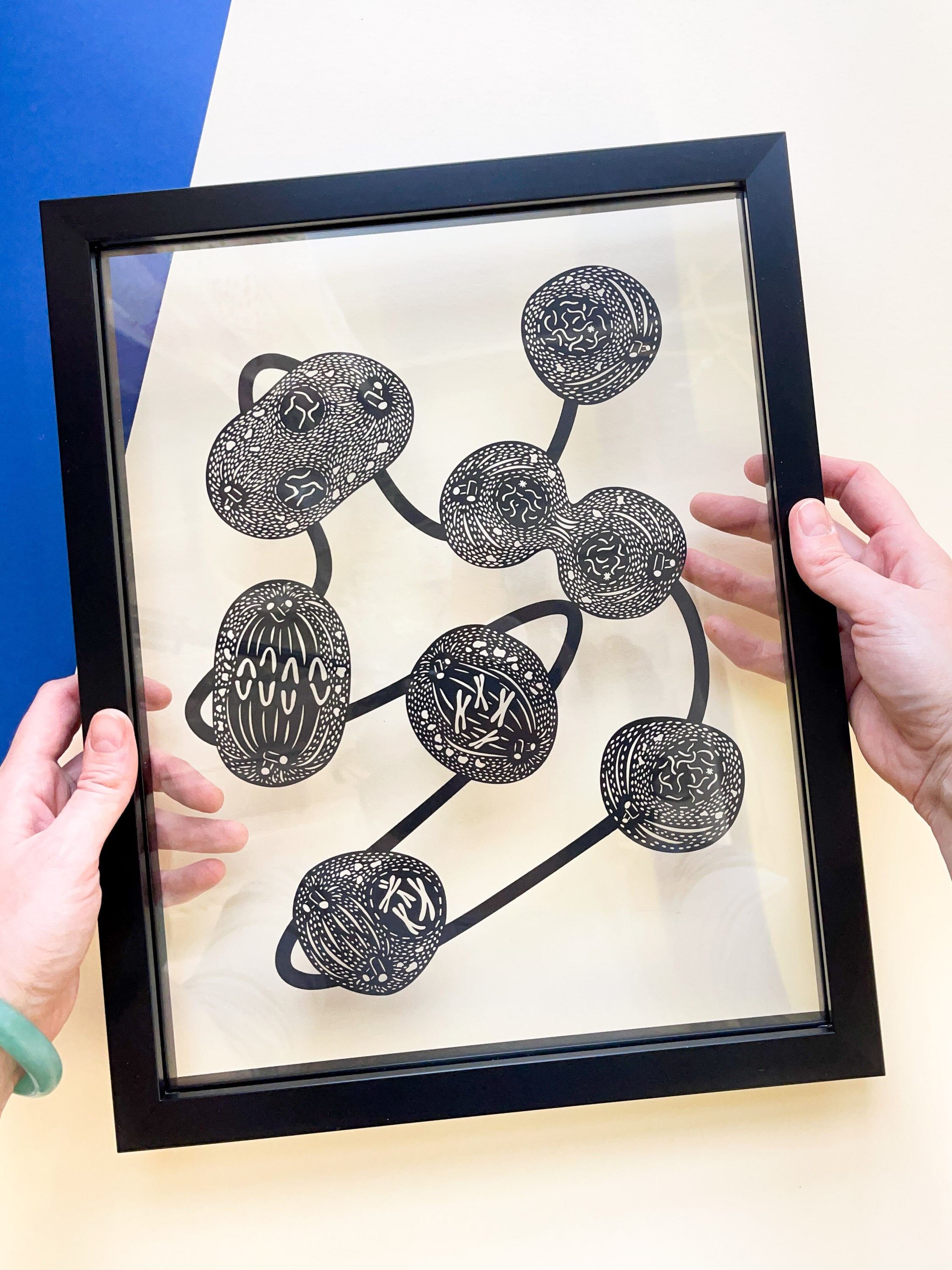 Mitosis Abstract Papercutting