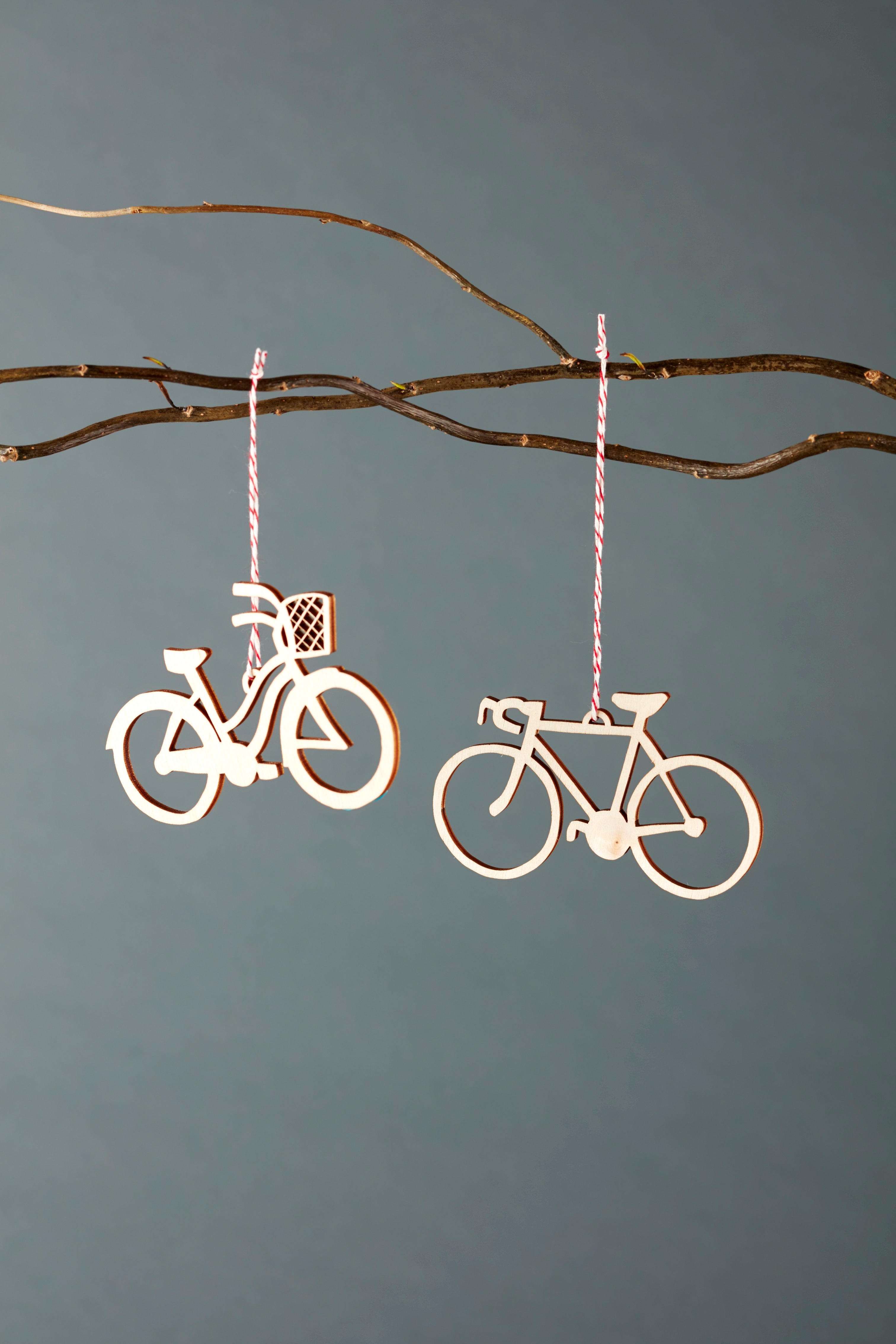 Cruiser and Road Bike Ornaments (set of 2)