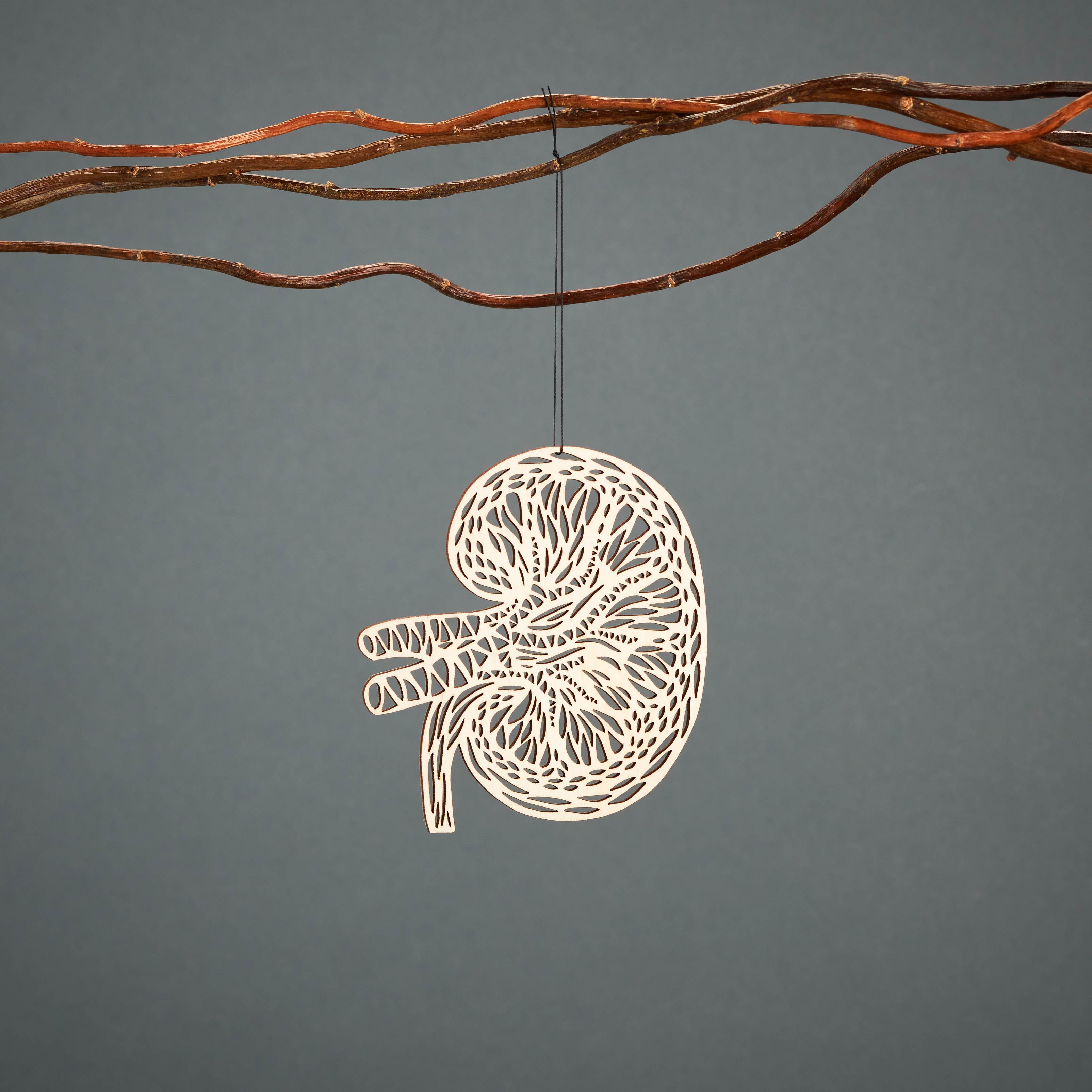 Kidney Anatomy Ornament