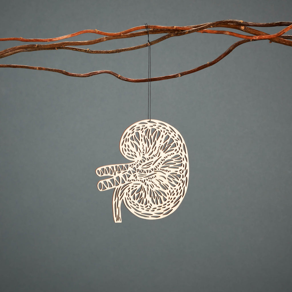 Kidney Anatomy Ornament