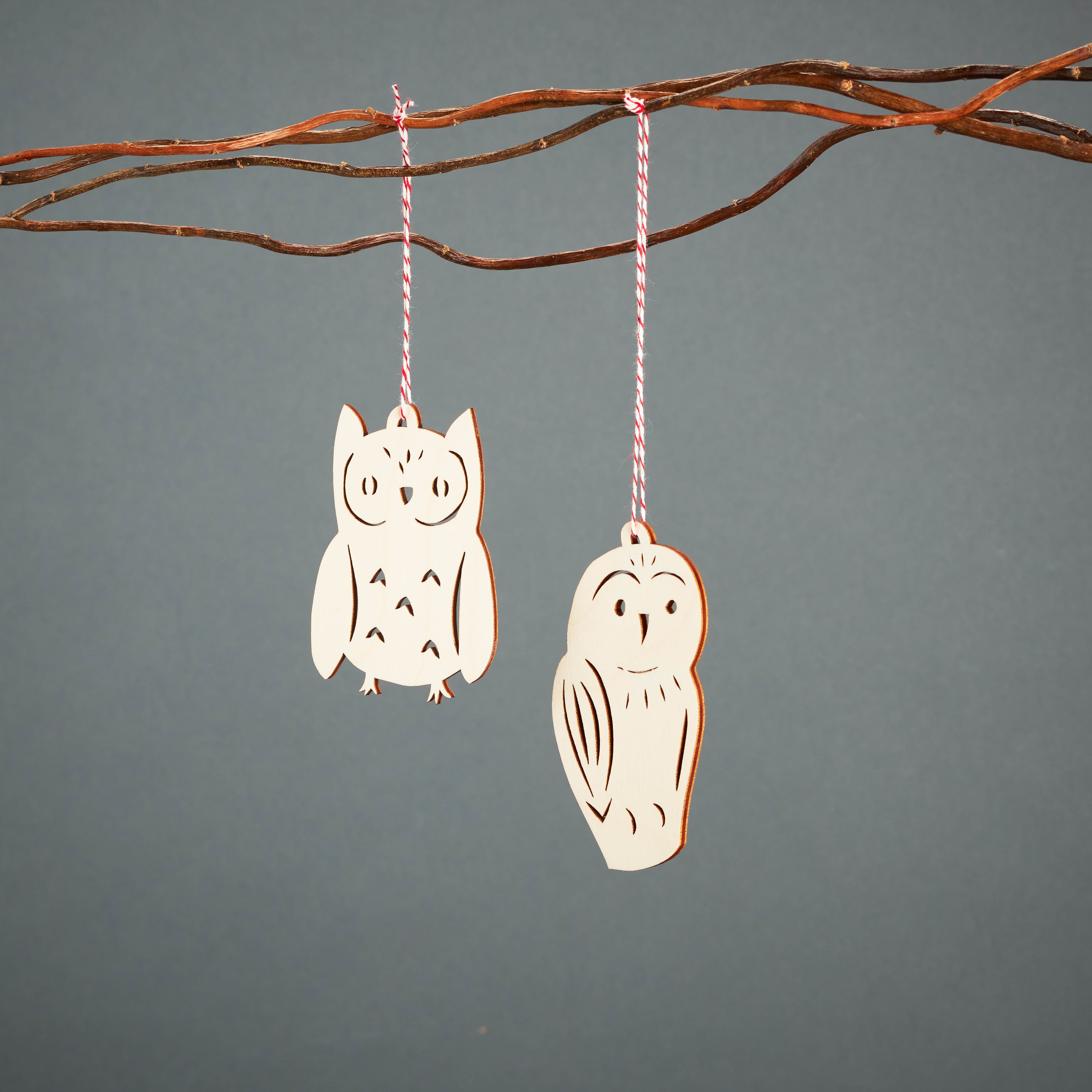 Owl Ornaments (set of 2)