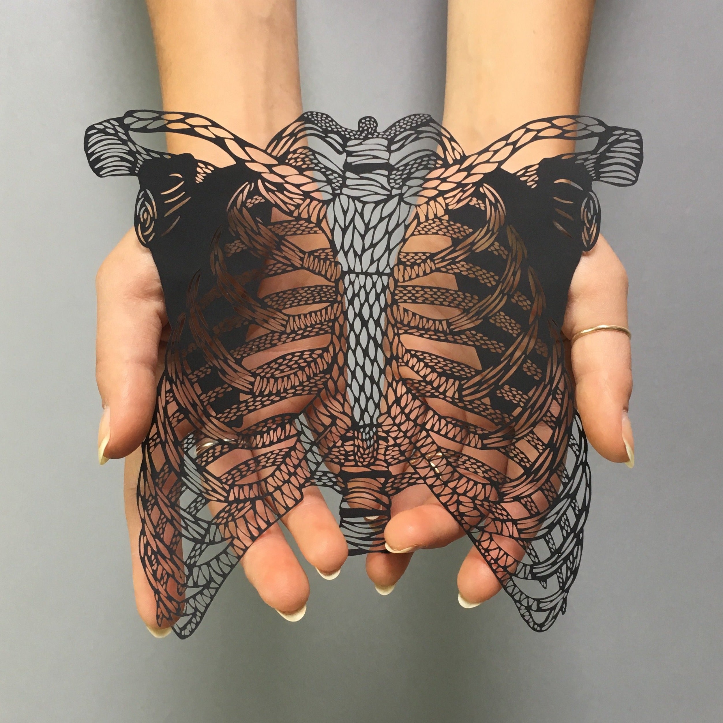 Anatomical Papercut: offers Ribs