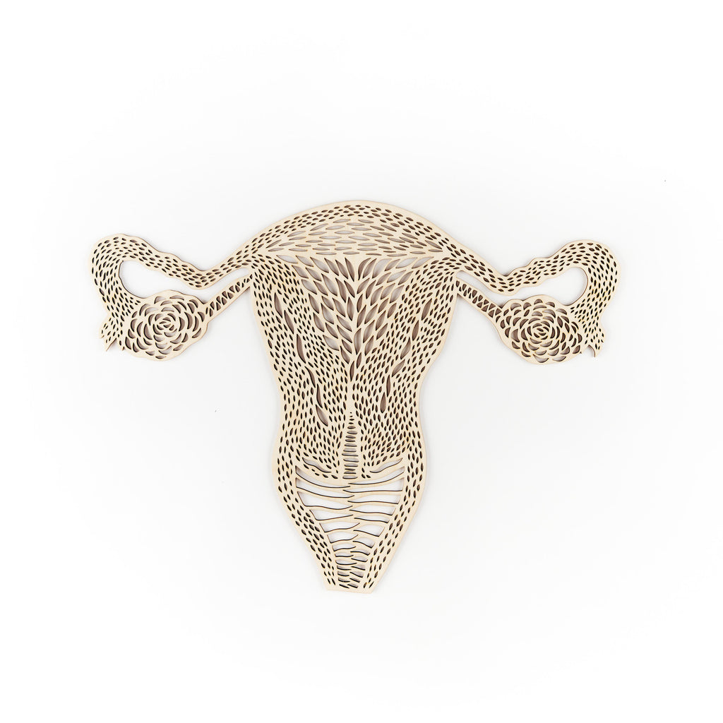 Anatomical Uterus and Ovaries Wooden Artwork