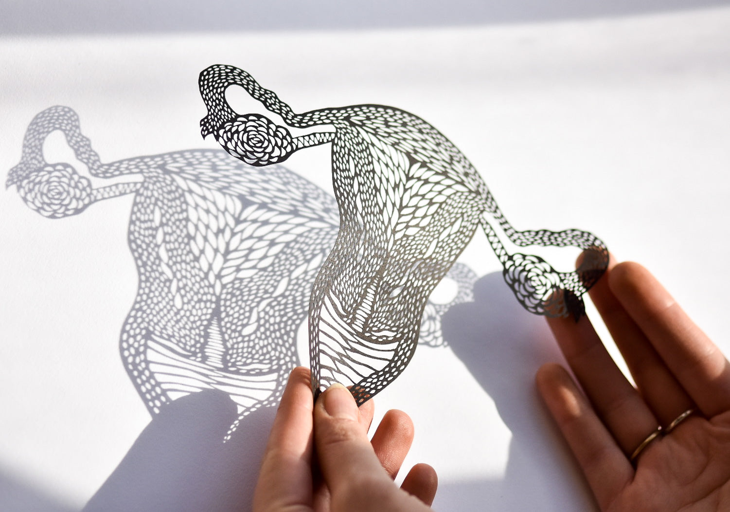 Anatomical Uterus/Ovaries Papercutting Artwork