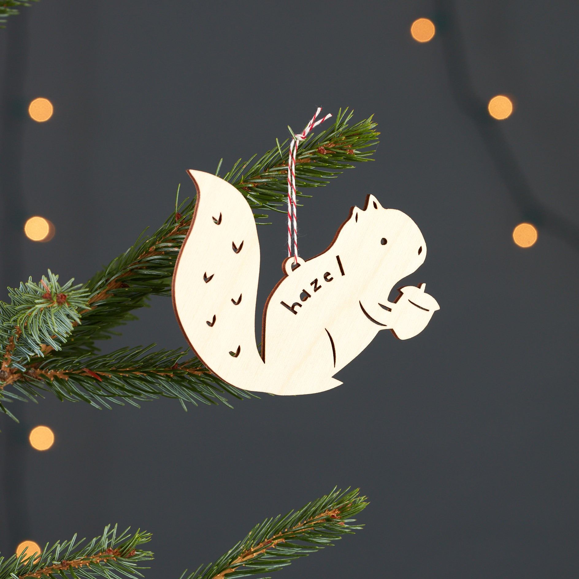 Custom Squirrel Ornament