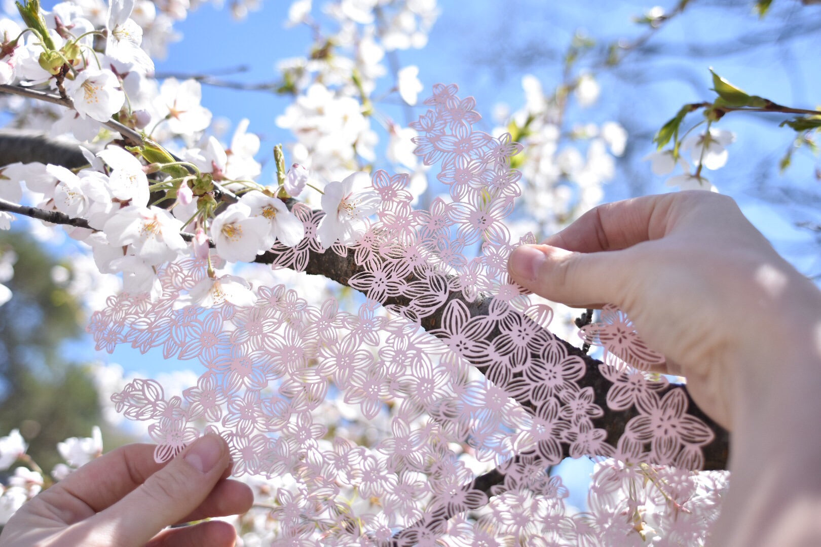 Cherry Blossom Papercutting