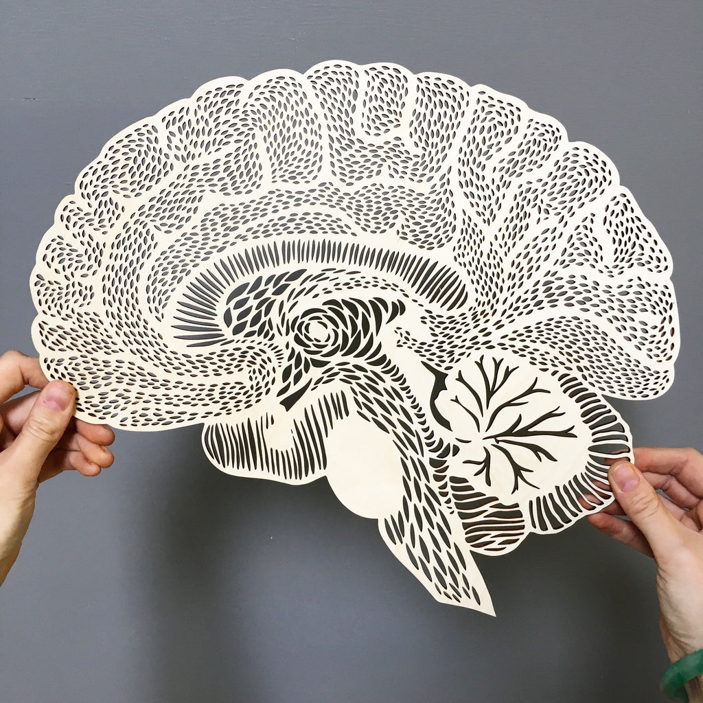 Lasercut Birch Wood Brain Artwork, by Light + Paper, Made in Toronto