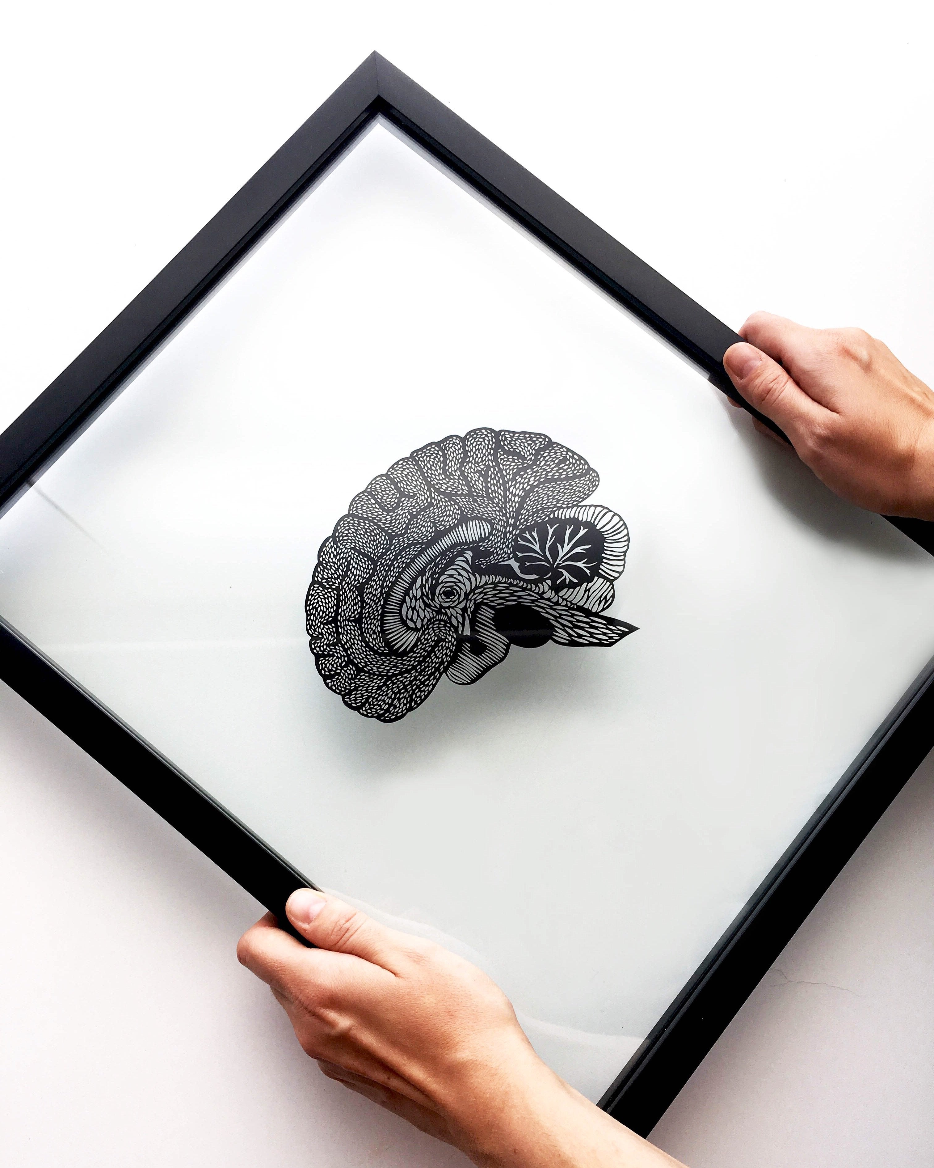 Anatomical Brain Papercutting Artwork