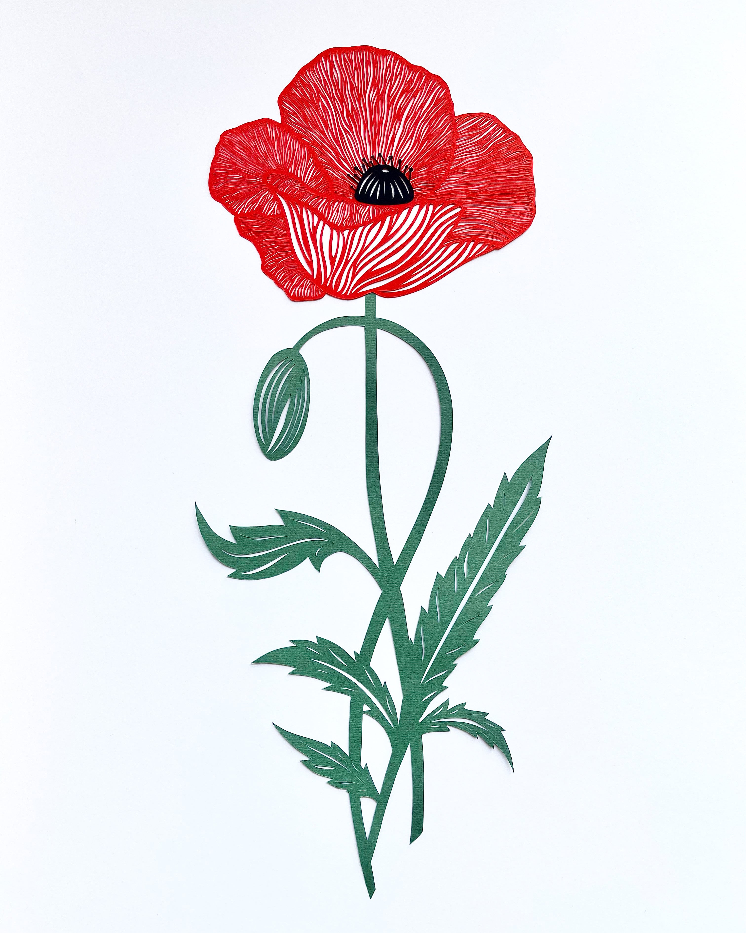 Poppy Papercutting