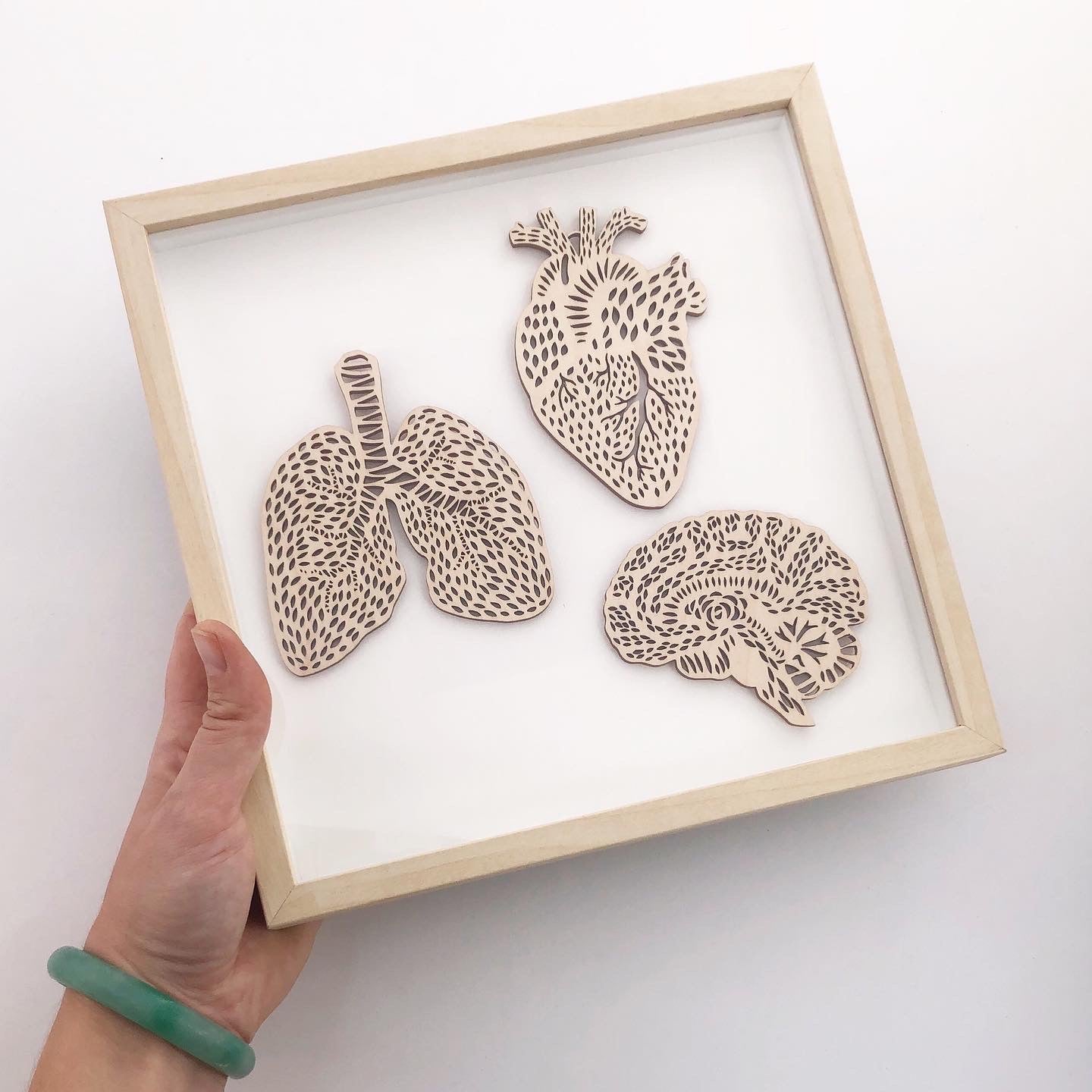 Framed Mini Anatomical Wooden Artwork